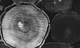 梦见吃了死人给的东西