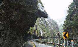 梦见一个死了很久的人