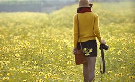 12星座女追求者数目排行榜