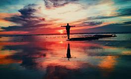 1967年属羊的是什么命