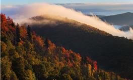 1993年属鸡的是什么命