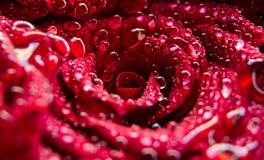 女人梦到别人身上有血