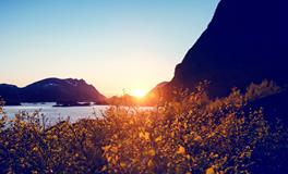 2007年属猪的是什么命