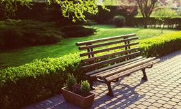 梦见自己打老鼠