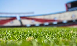 女人梦见老鼠在床上跑