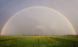 梦见老鼠咬脚什么预兆