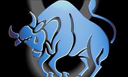 四大血型金牛座的性格与气质