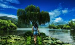 梦到被老鼠咬着手不放