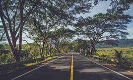 孕妇梦到一窝老鼠