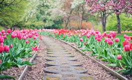 梦见很多棺材预示着什么