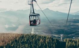 属猴人会如何对待爱情