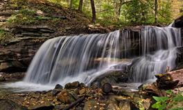 梦见自己掉水里了