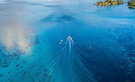 周公解梦梦见牛预示着什么