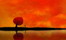 属鸡男生应如何经营爱情