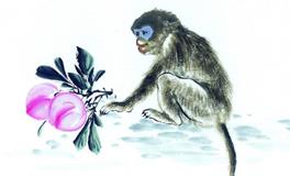 属猴2020年运势及运程 属猴人2020年全年每月运势