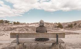 属龙处女座男生性格