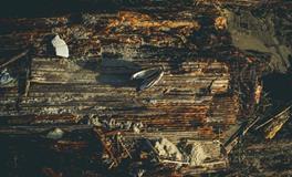 梦见吃屎什么意思