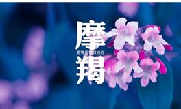 摩羯座性格，摩羯座男生的真正性格