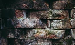 梦见地上有大便