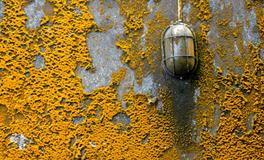 梦到小男孩拉屎