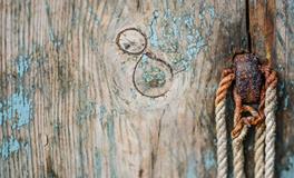 梦到自己吃屎是什么意思