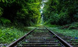 孕妇梦到自己拉大便