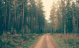 梦见大便拉不出来