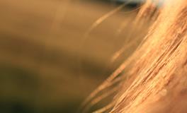 梦见自己掉头发是什么意思