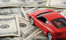 生肖鸡想要发财需要多少年