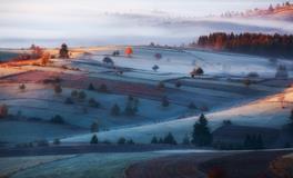 白露节气养生要点