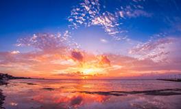 属鸡的2018年9月如何提升财运