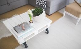 生肖牛适合住什么样的房子