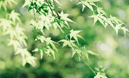 苏珊米勒今日运势2018年9月6日