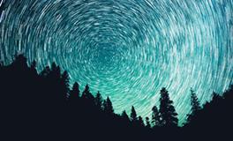 牛的爱情风水如何开运