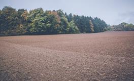 梦见地震是预示着什么