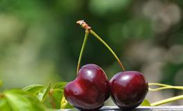 女人梦到好多人在吃饭