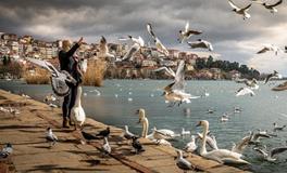 梦见自己生了个女宝宝