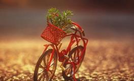 在爱情中你是拥有绝对的话语权吗？