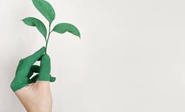 梦见自己用手抓到鱼