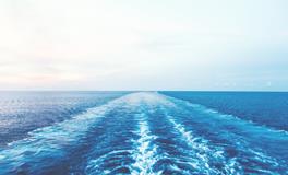 梦见在田里抓鱼