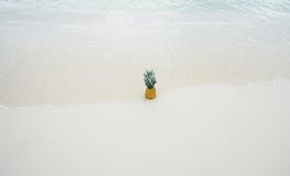 梦见捞了好多鱼