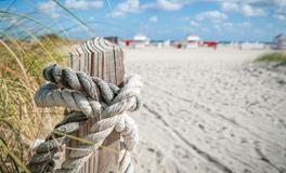 梦见别人送我鱼是什么意思