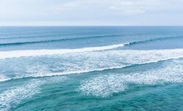 梦见怪鱼是什么意思