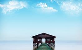 梦到鱼跟我说话