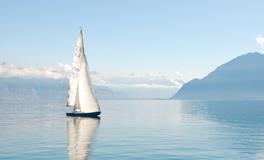 孕妇梦到抓到金鱼