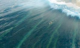 梦见超级大乌龟