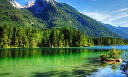 梦见乌龟下蛋是什么意思