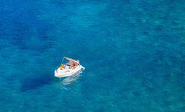 孕妇梦到吃乌龟