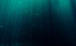 梦见和别人一起游泳