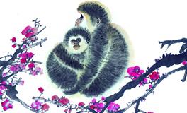 属猴2020年运势及运程 属猴的人2020年全年运势